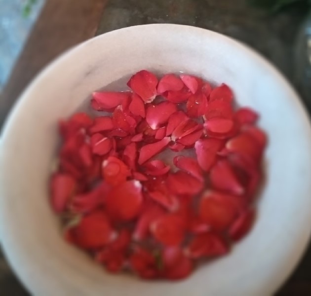 p&eacute;talos en agua